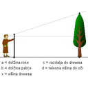visina drevesa 3.png<>Druga slika